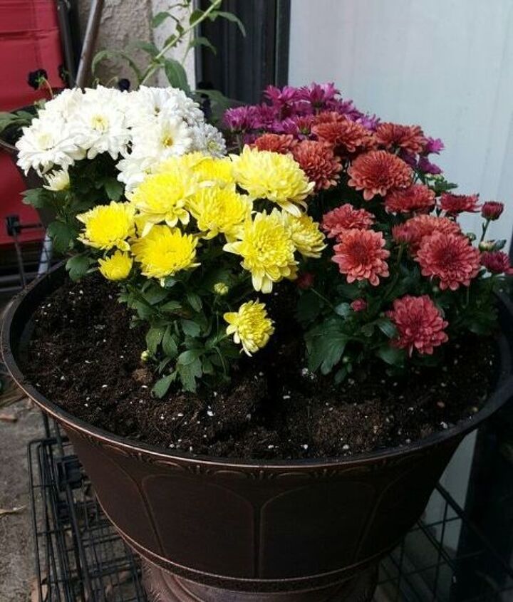 outdoor flower pot arrangments