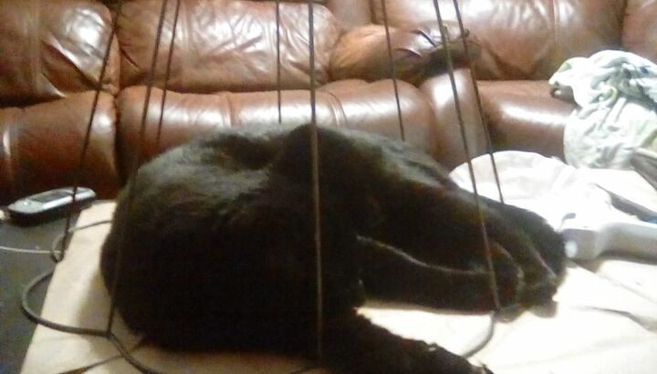 old lamp given farmhouse style