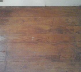 What Can I Use To Get Rid Of Cat Urine Smell On Hardwood Floors
