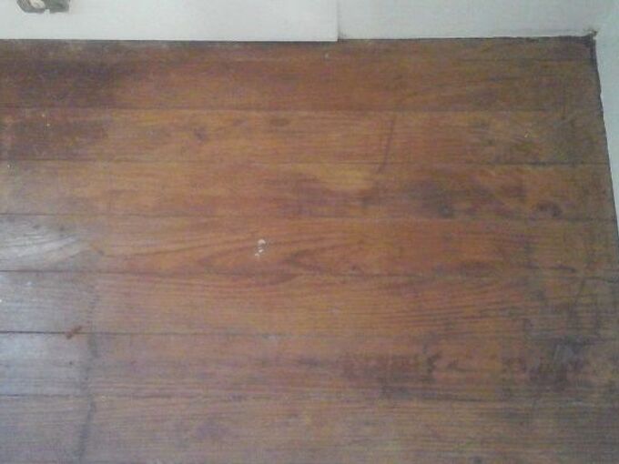 Cat Urine Smell On Hardwood Floors, How To Get Cat Urine Odor Out Of Hardwood Floors