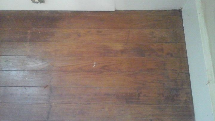 Cat Urine Smell On Hardwood Floors, How To Get Urine Smell From Hardwood Floors