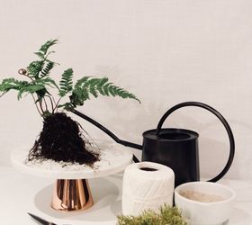 add houseplant whimsy with these diy moss string gardens, String Garden Supplies