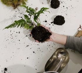 add houseplant whimsy with these diy moss string gardens, Create the Soil Ball
