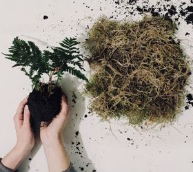 add houseplant whimsy with these diy moss string gardens, Wrap in Moss