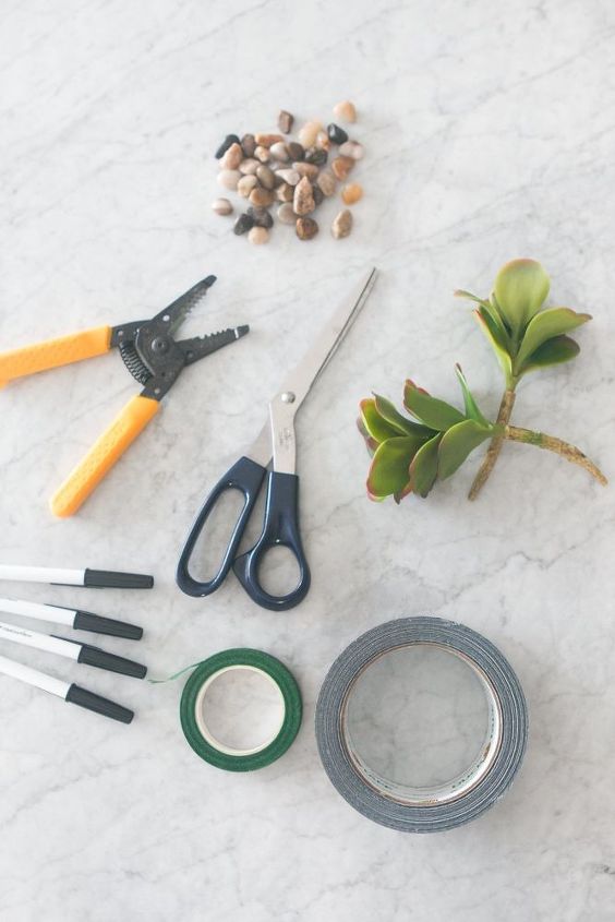 turn your desk pens into this diy succulent display