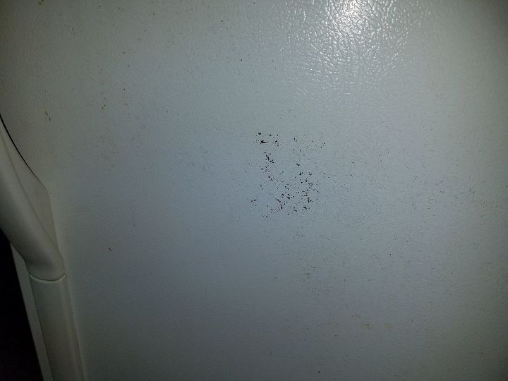 q want to paint refrigerator seems to have rust spots