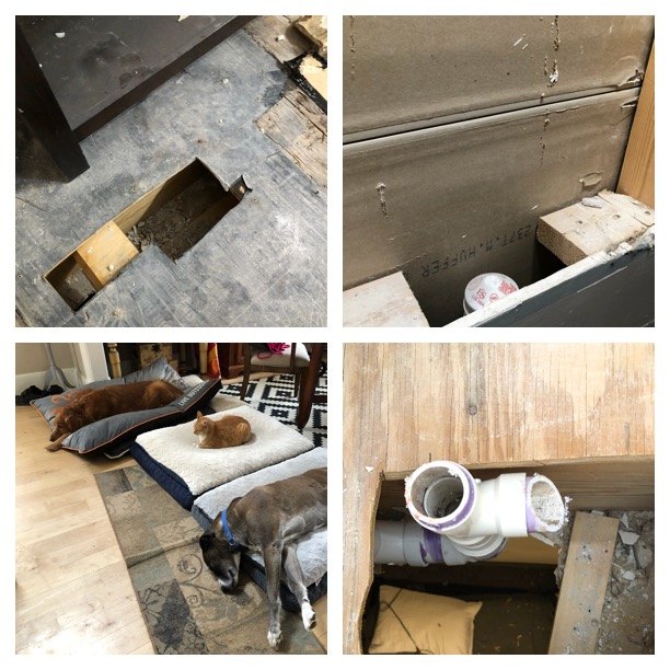 when moving into your dream home hits some bumps