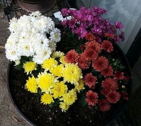 outdoor flower pot arrangments