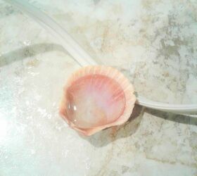Turn Seashells Into Beautiful Jewelry Hometalk