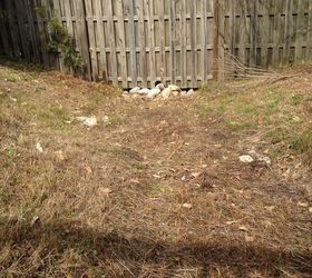 Easement Ditch Ideas To Improve Appearance Cannot Cover Hometalk