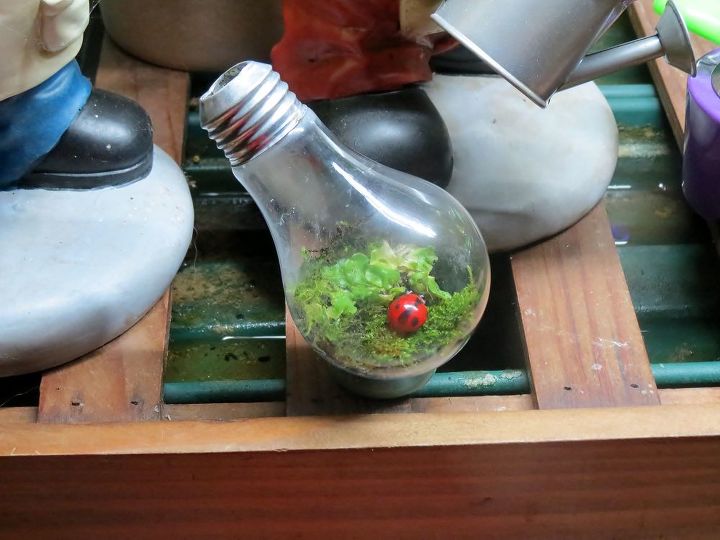 15 maneras inteligentes de reutilizar las bombillas viejas, Terrario de bombillas