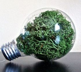 15 clever ways to repurpose old light bulbs, A Home To Grow Moss
