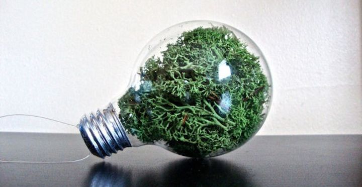 15 clever ways to repurpose old light bulbs, A Home To Grow Moss