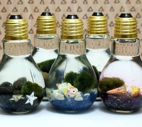 15 clever ways to repurpose old light bulbs, Marimo Moss Ball Aquariums