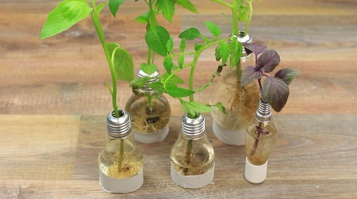 15 maneras inteligentes de reutilizar las bombillas viejas, Mini jarrones con bombillas