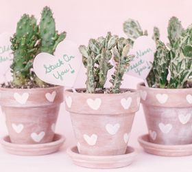 Macetas de cactus de terracota con estampado de corazones