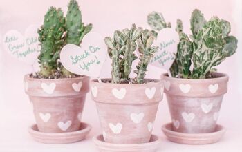 Macetas de cactus de terracota con estampado de corazones
