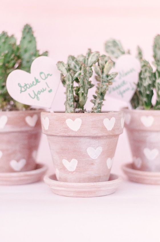 macetas de cactus de terracota con estampado de corazones