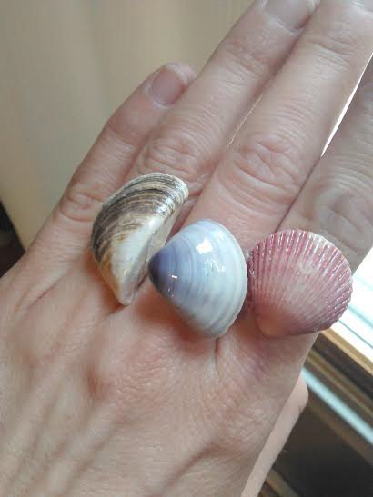 turn seashells into beautiful jewelry