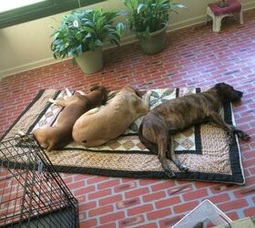 my sunroom makeover, Our babies napping