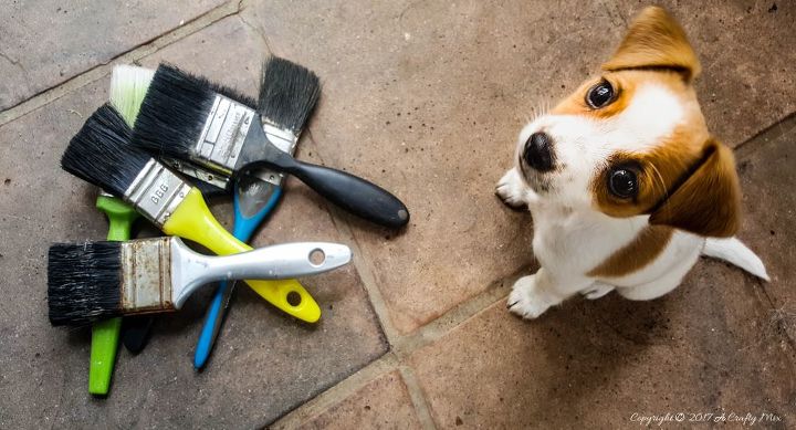 off the wall repurposed paint brush hooks