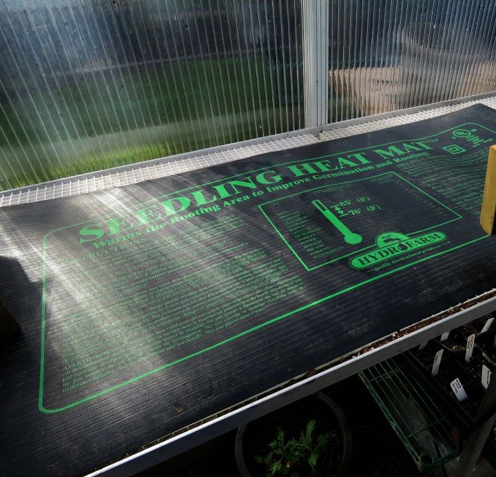 starting seeds for the first time