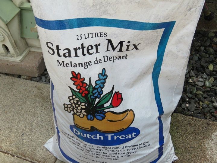 starting seeds for the first time