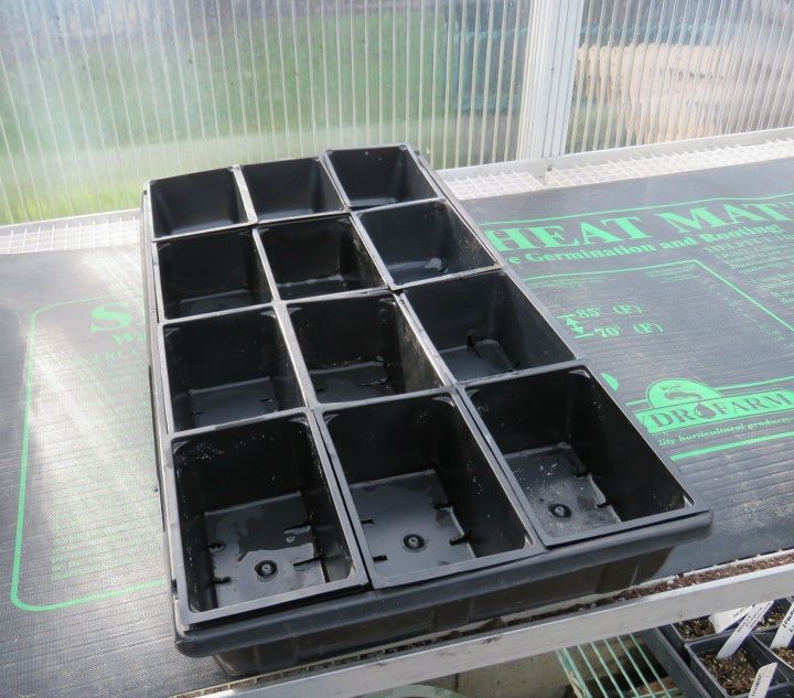 starting seeds for the first time