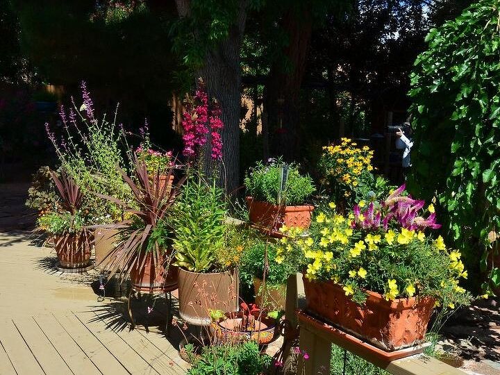 q how can i start a container garden on my patio i have a lot of shade