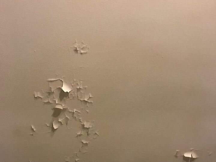 q what is the best way to paint plaster walls with lead based paint