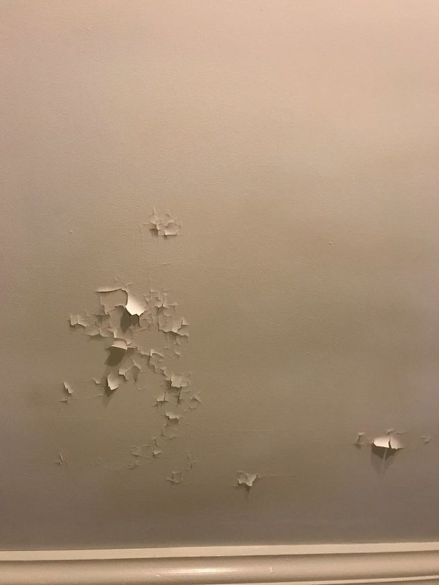 What Is The Best Way To Paint Plaster Walls With Lead Based Paint