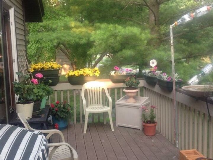 q what plants can i use for a deck garden