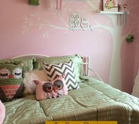 Owl Inspired Theme Toddler Bedroom