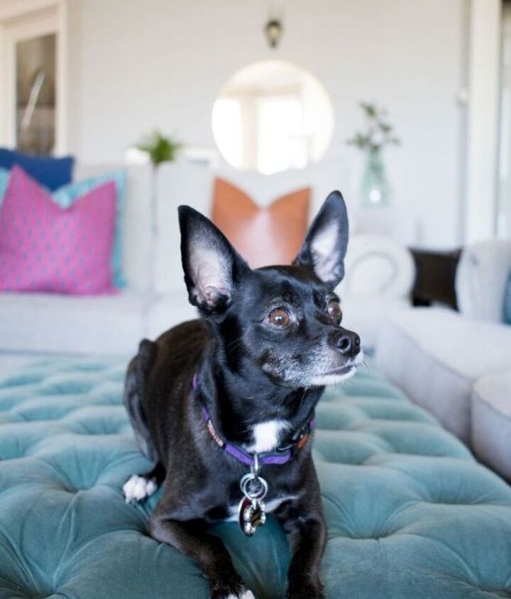 our modern living room reveal