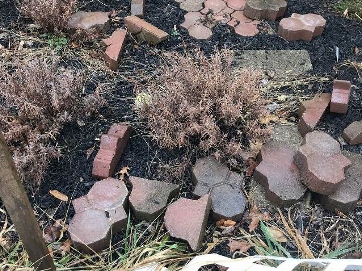 q does lavender go brown in the winter