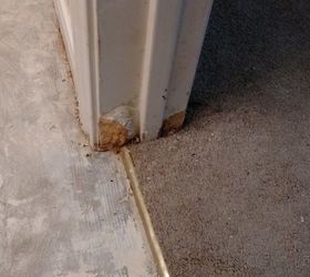 how to replace door moulding due to dog damage