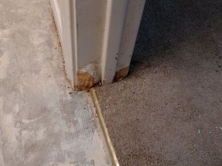 q how to replace door moulding due to dog damage