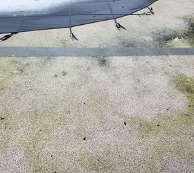 q how do i clean patio that is discolored with dog urine plant growth