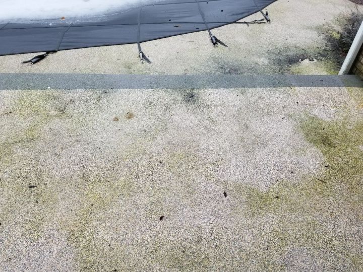 q how do i clean patio that is discolored with dog urine plant growth
