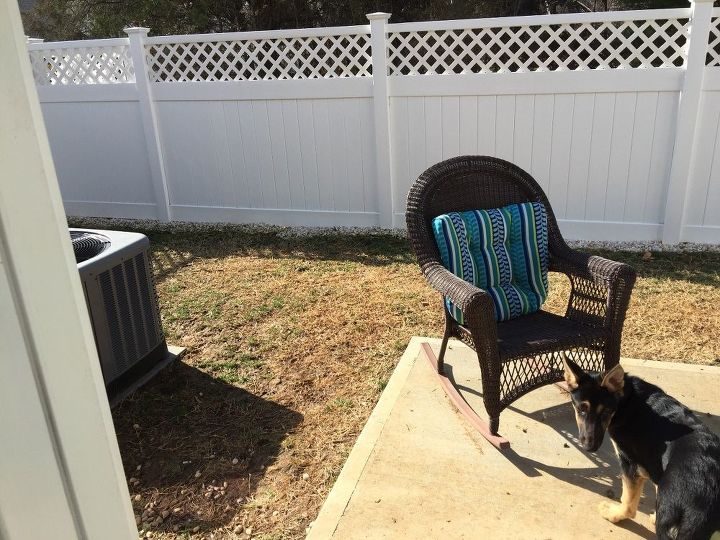 q yard suggestions