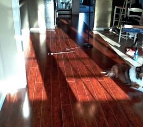 Install Your Own Laminate Flooring!