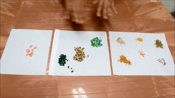 best ways to germinate any vegetable seed