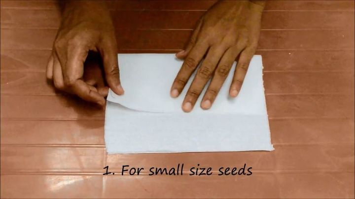 best ways to germinate any vegetable seed