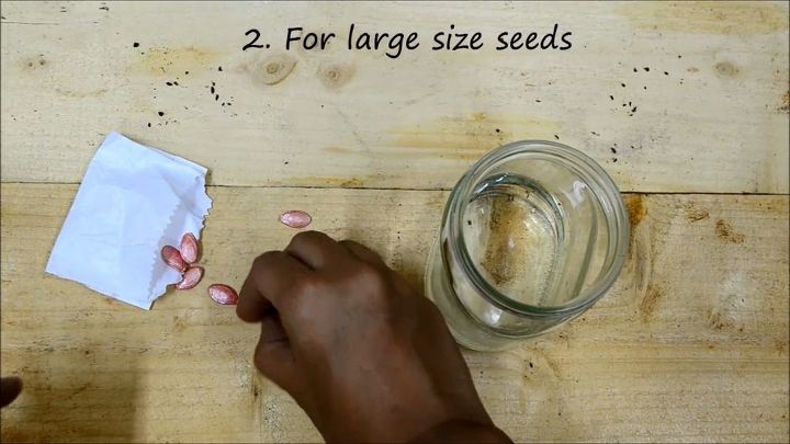 best ways to germinate any vegetable seed