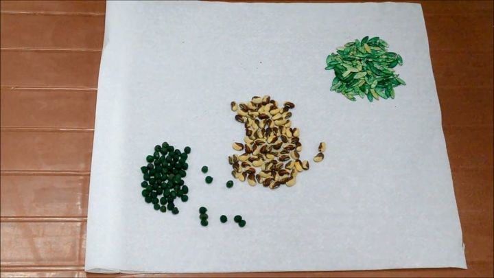 best ways to germinate any vegetable seed