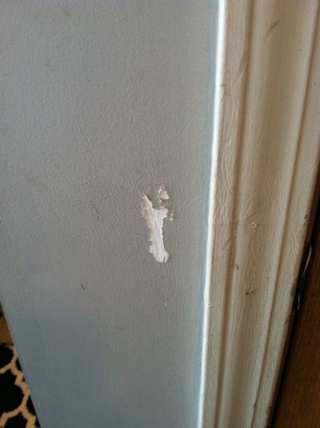 fcil peasy reparacin de la pared, Las u as del perro hicieron esto