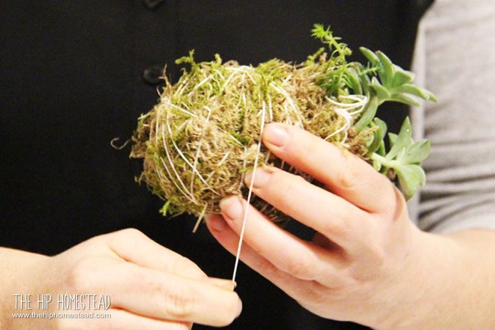how to make a hanging succulent garden, Wrap the string around the ball