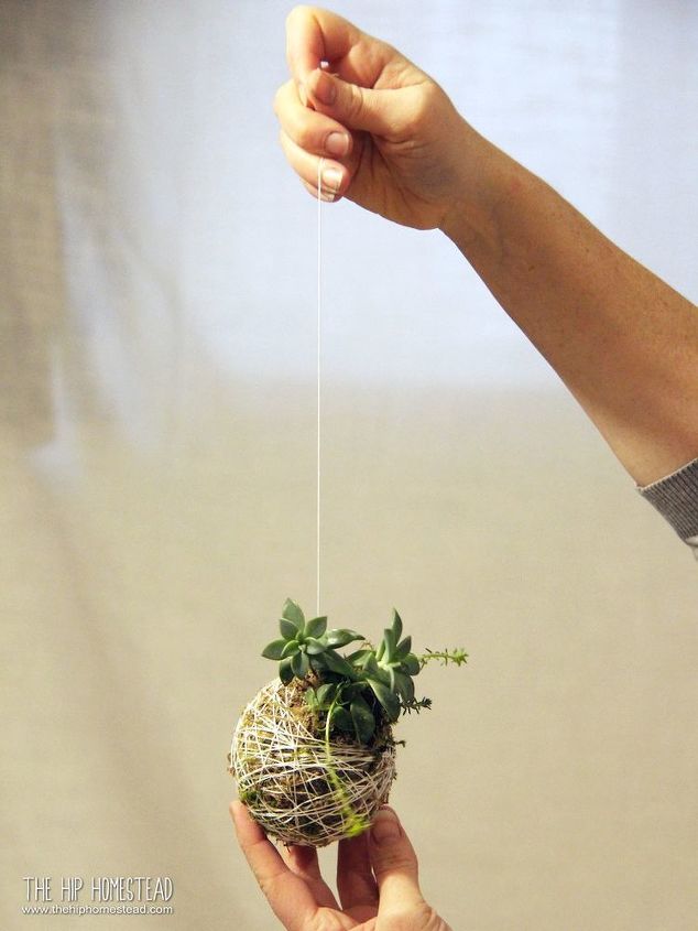 how to make a hanging succulent garden, Hang in a sunny window