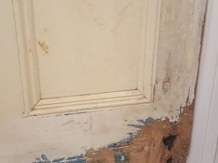 q my dog was terrified of the fireworks and scratched my door so badly i