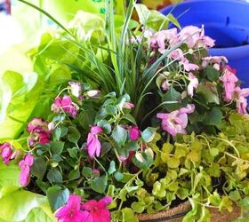 how to make a hanging plant basket